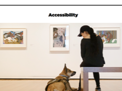 Pantallazo de la sección accesibilidad del museo de arte de Seattle