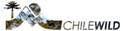 logo chilewild