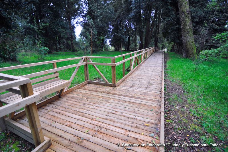 Tercer premio: Parque Urbano del Bosque. 29 de septiembre 2012