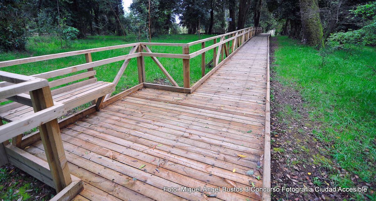 Circulaciones universales en bosque urbano valdivia