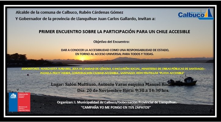PRIMER ENCUENTRO PARA UN CHILE ACCESIBLE_Calbuco