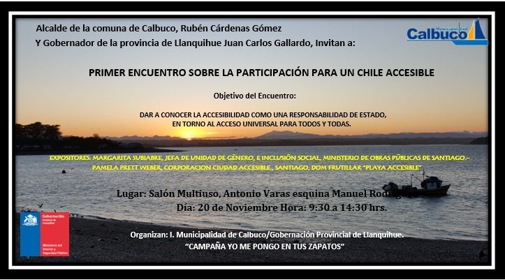 1ER. ENCUENTRO PARA UN CHILE ACCESIBLE_Calbuco