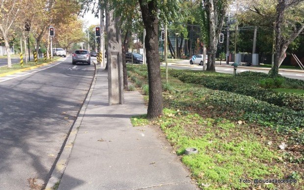 Foto de vereda obstaculizada con postes y árboles.