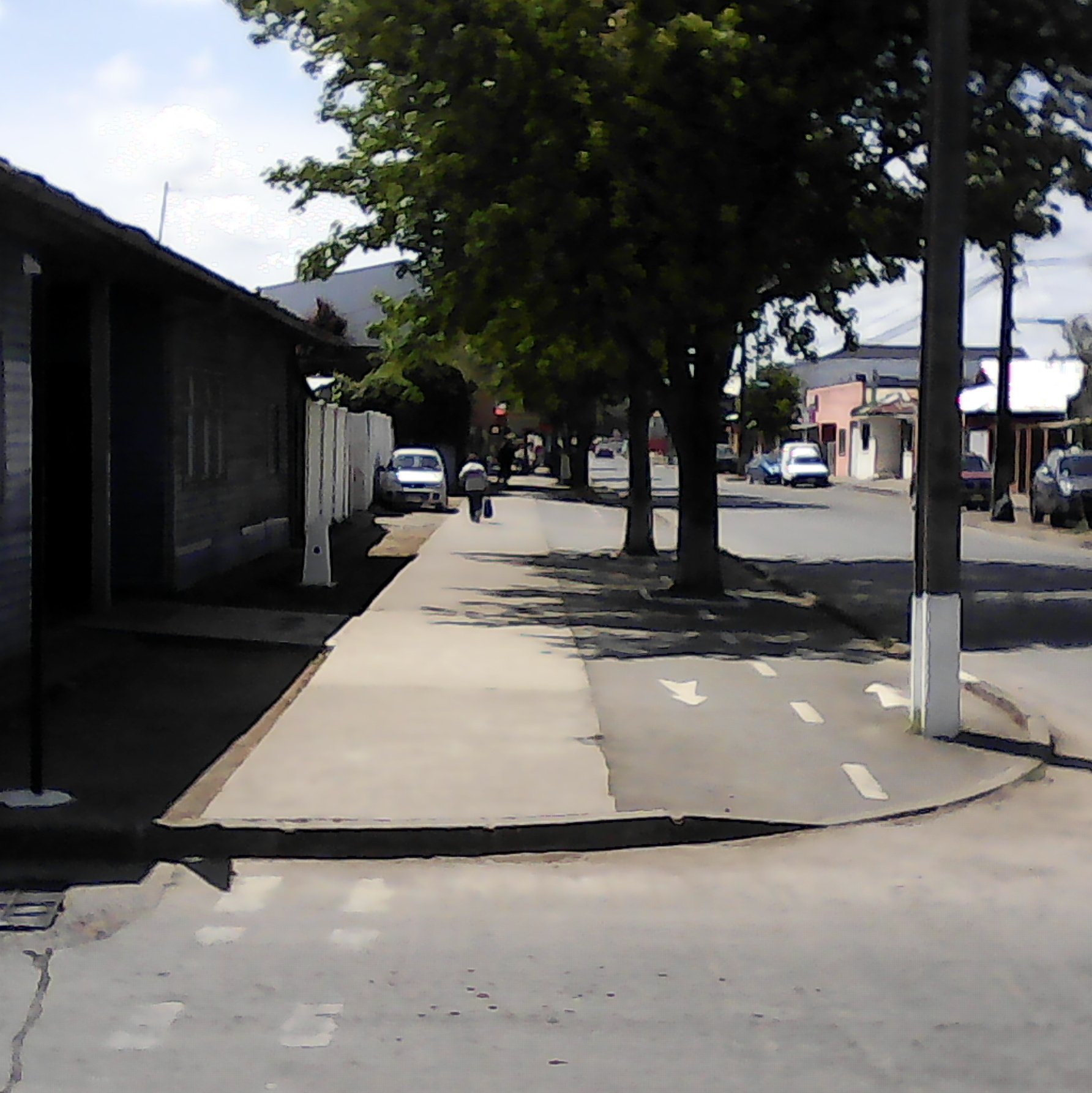 Comuna de San Carlos, se muestra ciclovía diferenciada, sin embargo la vereda carece de cruce peatonal rebajado