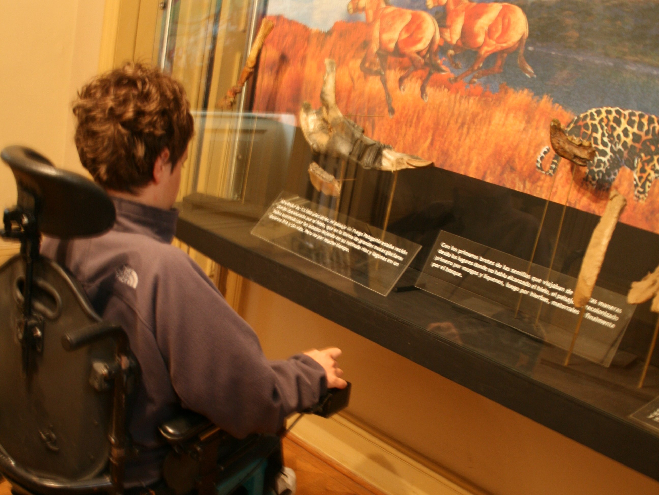 persona en silla de ruedas leyendo descripción de una exhibición en museo de magallanes