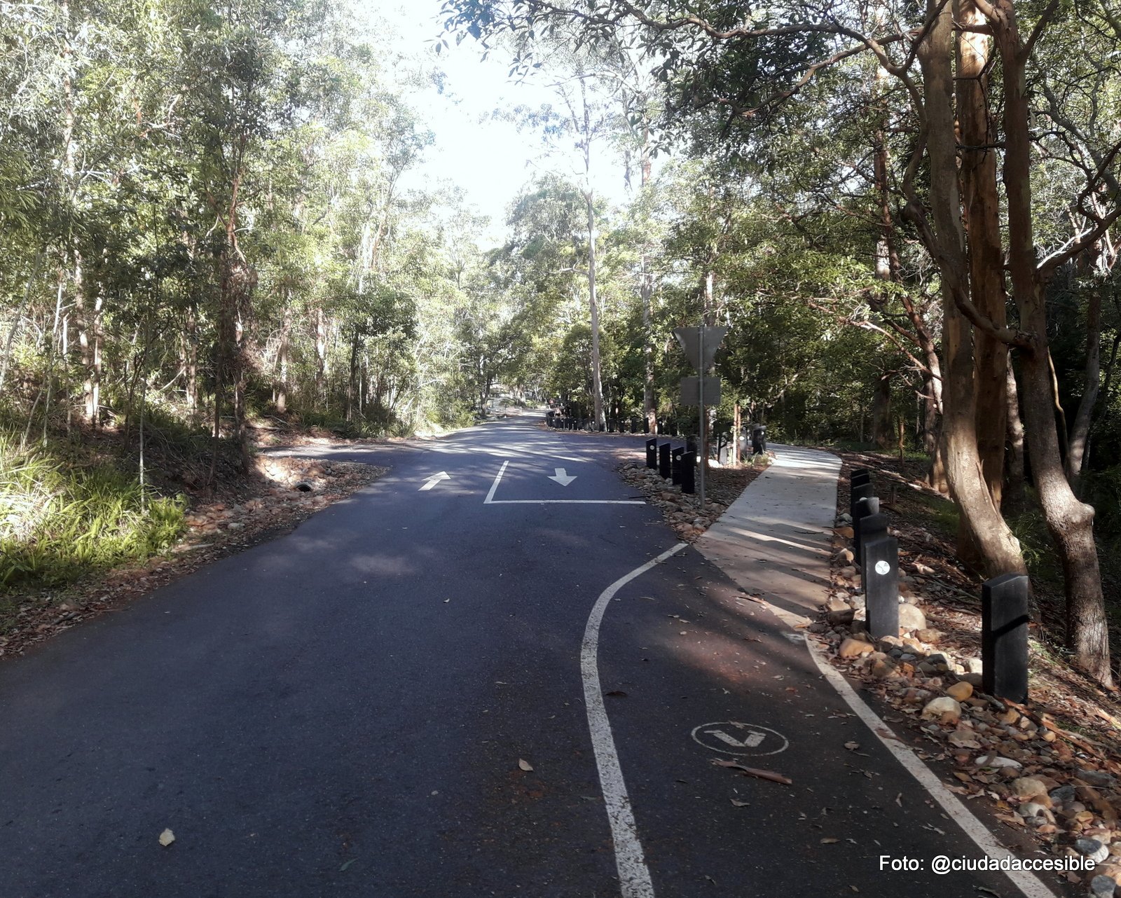 ruta peatonal demarcada junto a calzada vehicular en Parque Mount Coo-tha Brisbane