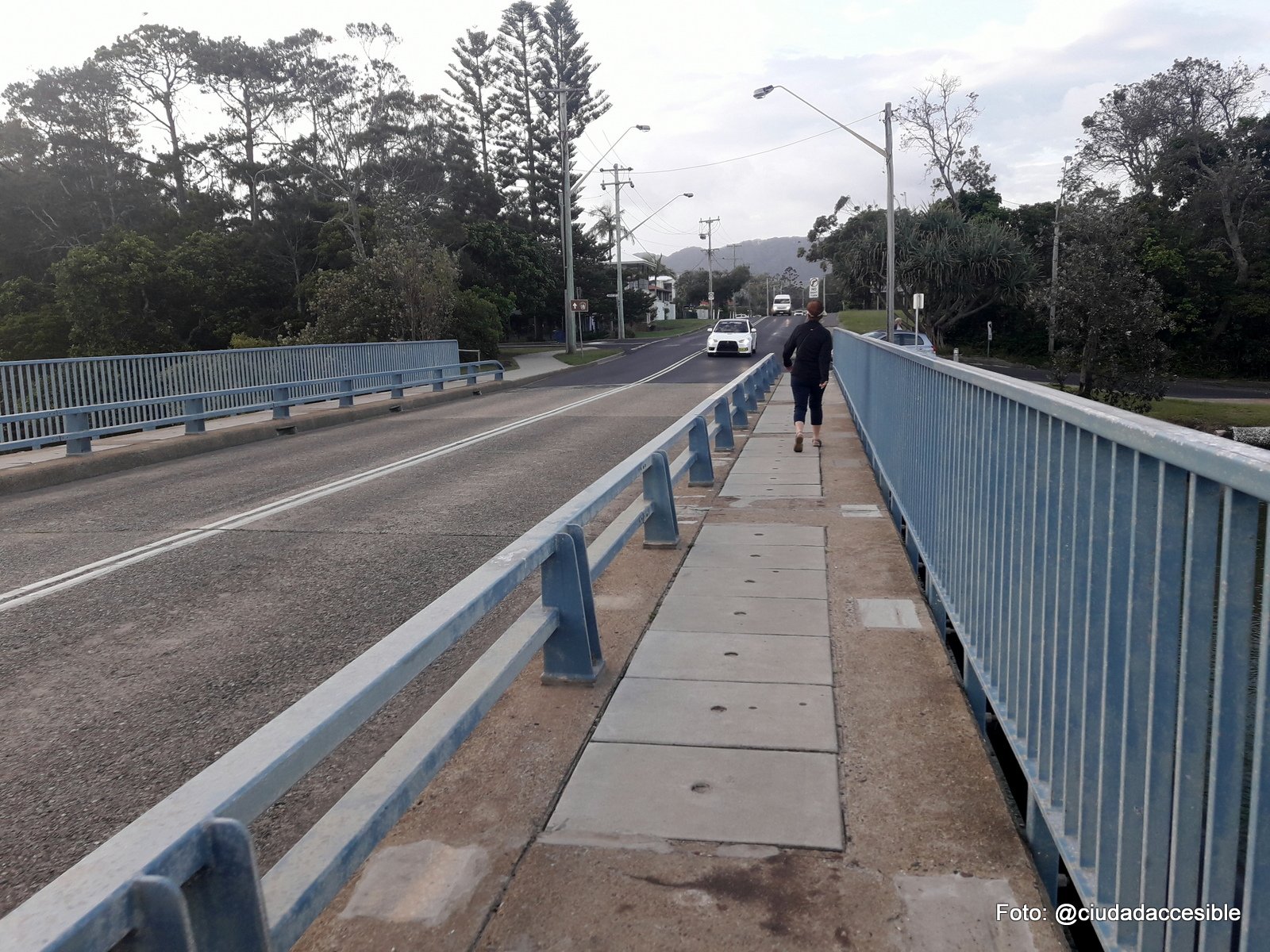 ruta peatonal sobre un puente en Parque Coffs Harbor