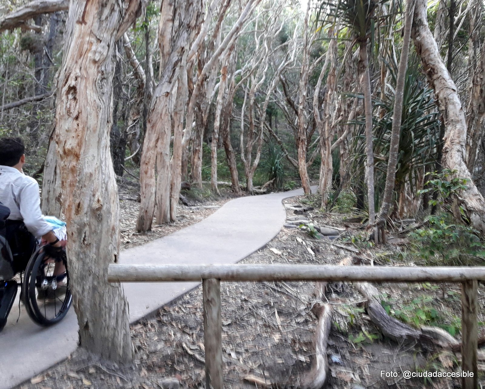 persona en silla de ruedas por un sendero pavimentado en Playa Nussa Brisbane