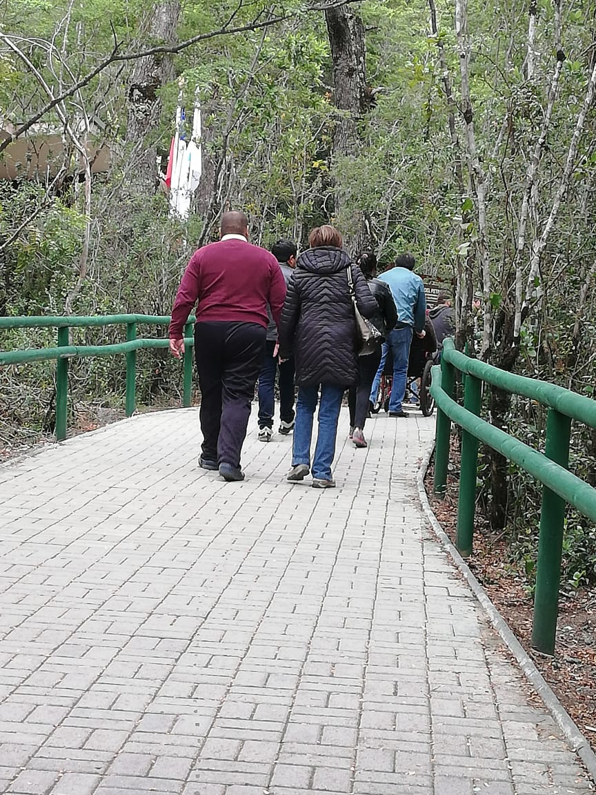 utas interiores hacia los saltos