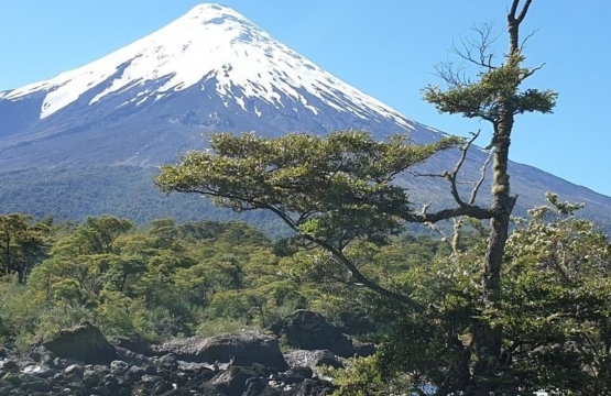 Experiencias en los Saltos de Petrohué