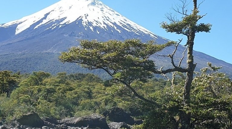 Experiencias en los Saltos de Petrohué