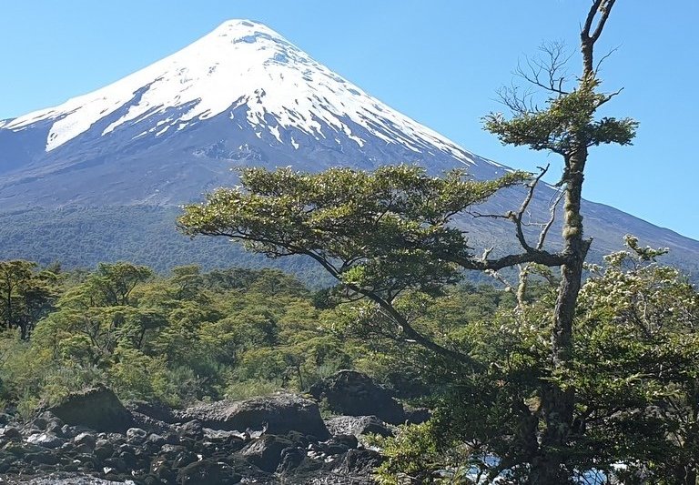 Experiencias en los Saltos de Petrohué