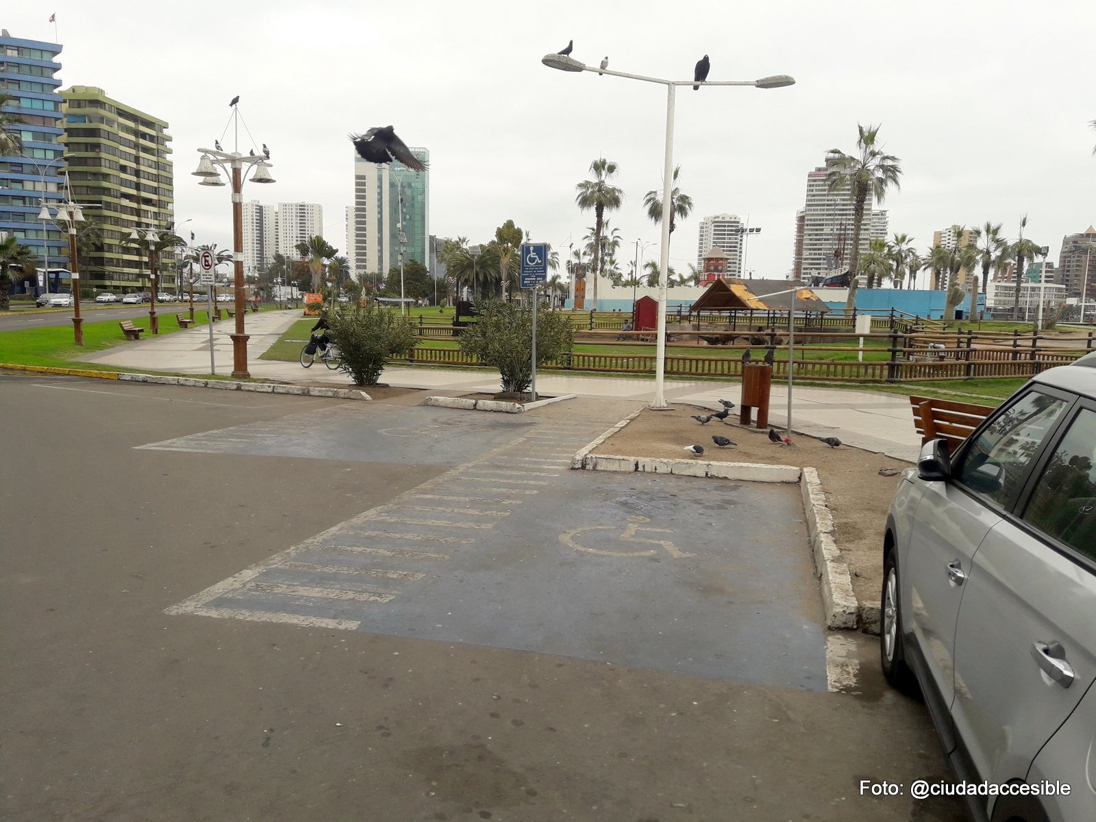 se ven dos estacionamientos para personas con discapacidad