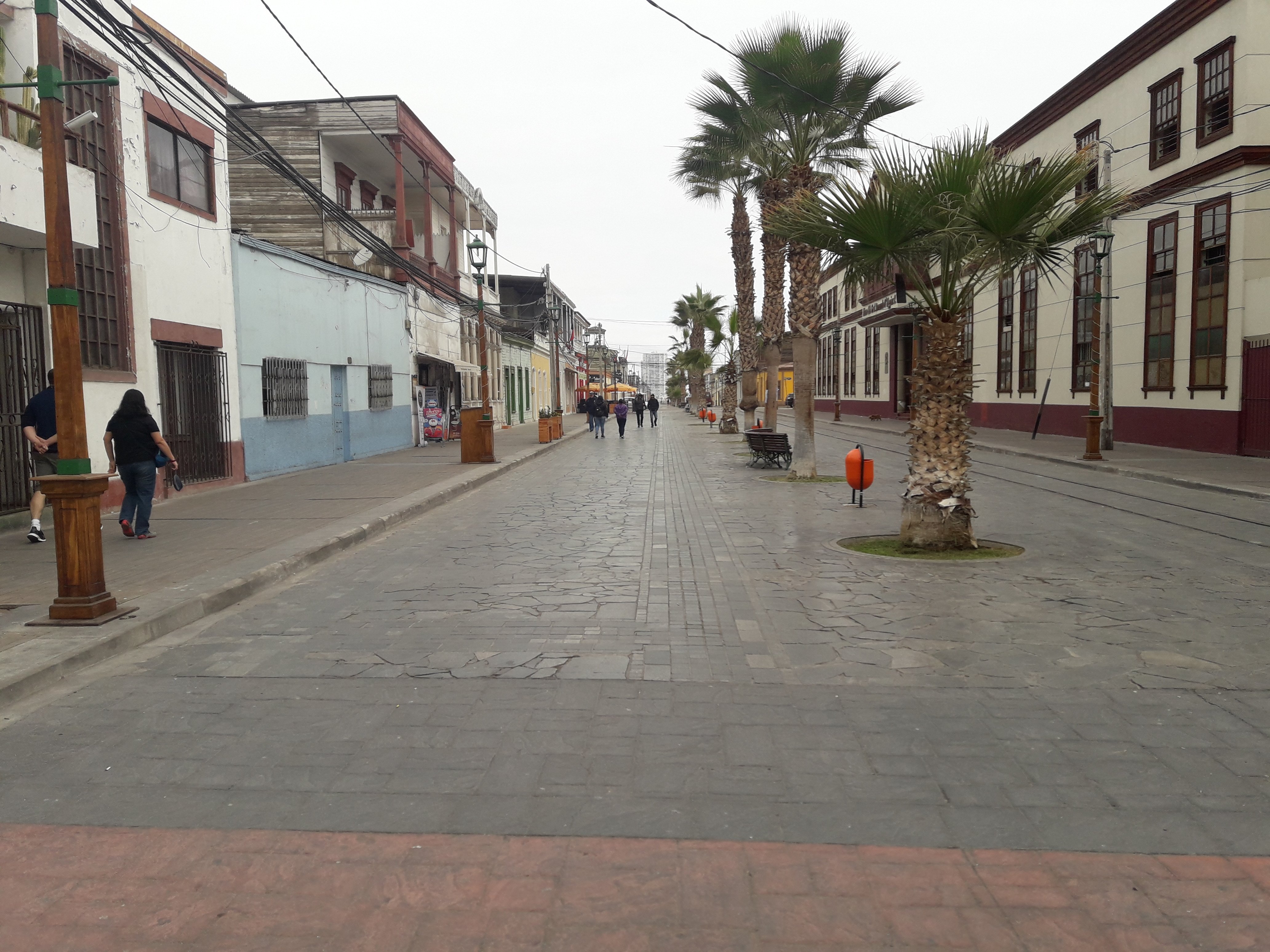 vista del paseo peatonal con palmeras en el centro de la calzada