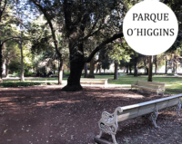 arbol rodeado de escaños en el parque