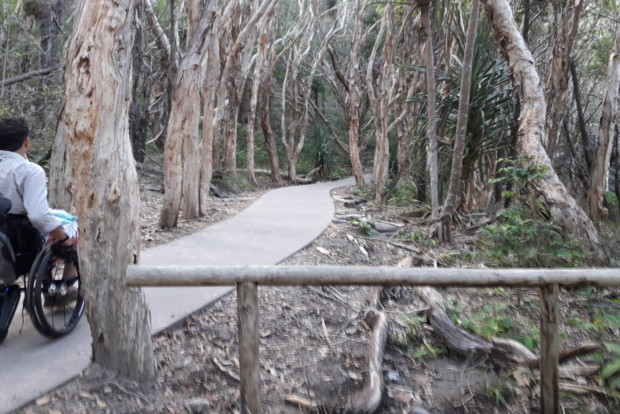 Ruta de pavimento estable en Parque Nussa Australia