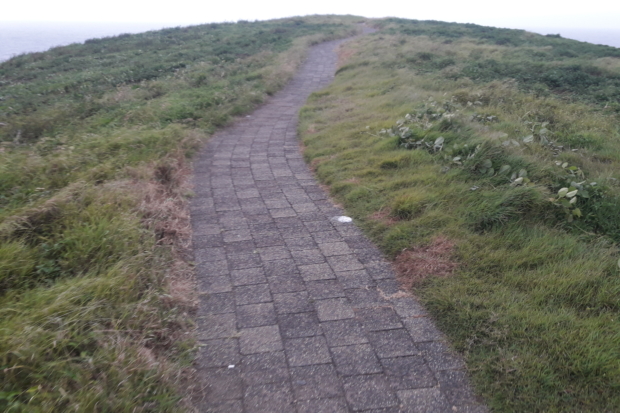 Ruta de pavimento estable en mirador Puerto Coffs Harbor Australia