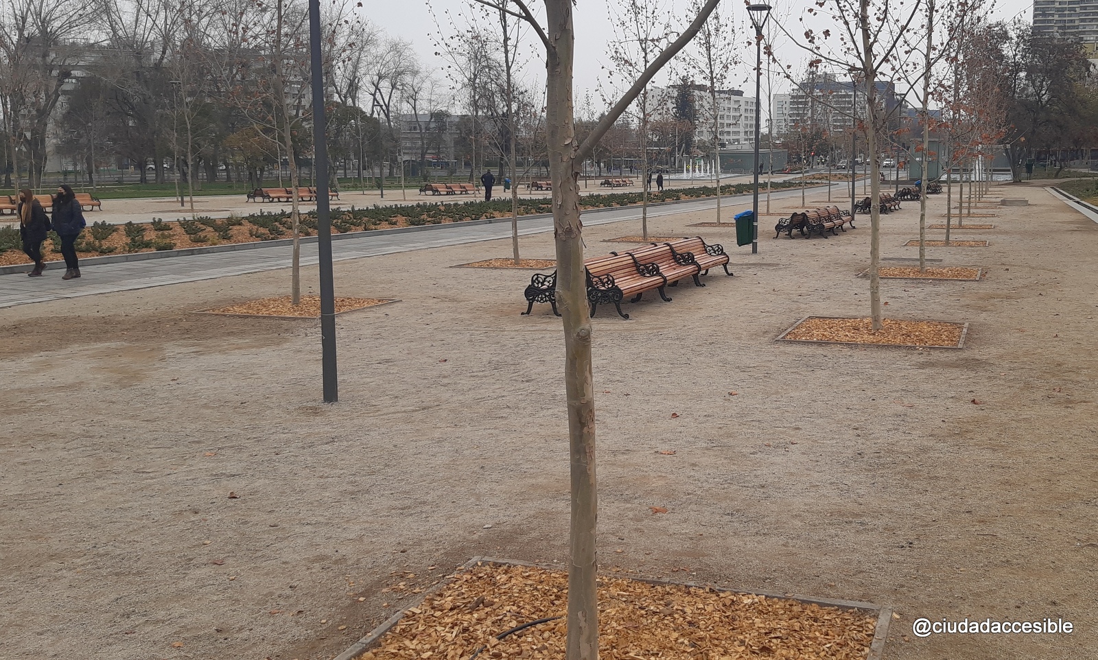 área de parque de maicillo con una línea de escaños y árboles