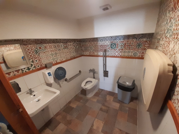 Baño accesible con barras al costado del inodoro, lavamanos sin pedestal y  un mudador.