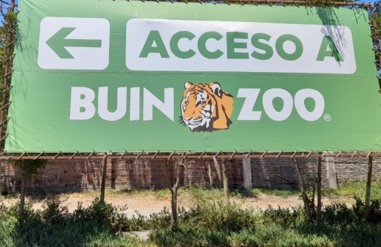 Buin ZOO – Una visita en silla de ruedas