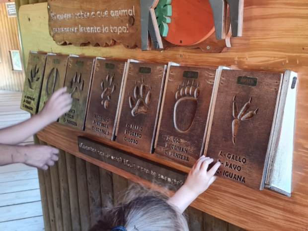 manos de niños tocan huellas de animales y sus nombres estampados en bajo relieve y con información en braille.
