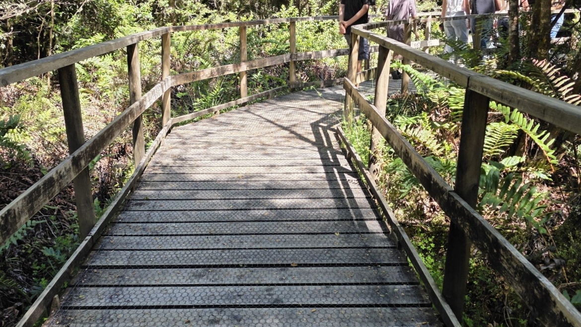 Naturaleza accesible: Monumento Natural Lahuen Ñadi