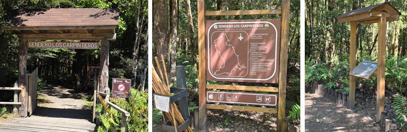 Tres fotos muestran la entrada al sendero los carpinteros, un plano del recorrido dibujado en un panel de madera y otro panel con información situado a un costado del sendero