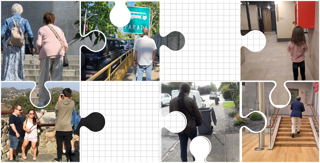 Serie de 6 pequeñas fotos mostrando diferentes personas como mayores, un hombre chocando con una señalización en la vereda, niña enfrentando una caja que sobresale en un pasillo persona ciega enfrentando basureros en una vereda, y personas de baja estatura sacándose una foto.